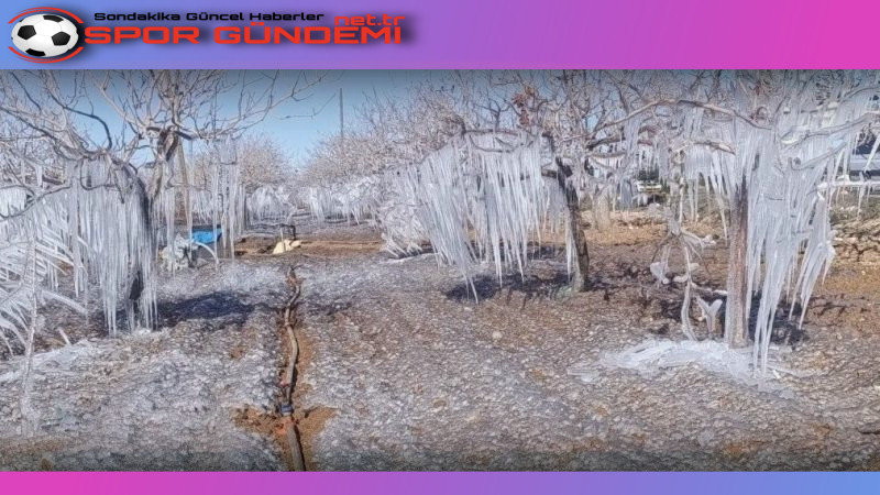 Güneydoğu Anadolu Bölgesi’nde yaşanan zirai don olayları, tarım alanında ciddi