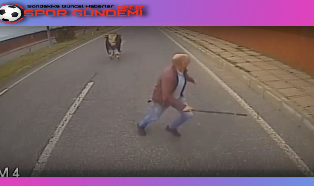 Bingöl’de meydana gelen ilginç bir olayda otobüs şoförü M.B, yola