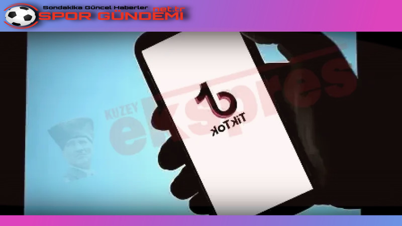 Dijital Platformlarda Yayımlanan İçeriklerin Soruşturulması Son günlerde, DafnixPaint isimli şirketin