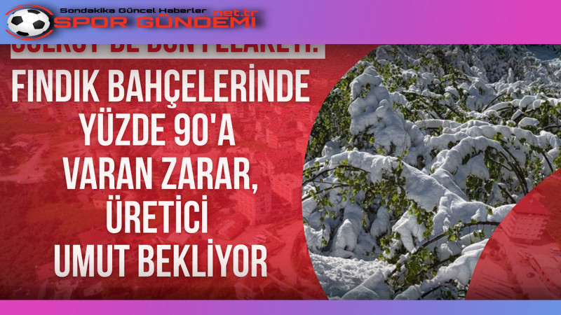 Gölköy’de meydana gelen don felaketi, fındık üreticilerini derinden etkiledi. Gölköy