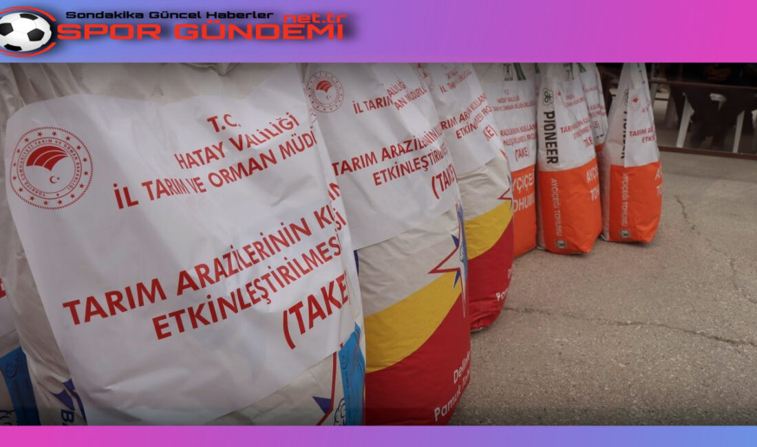 Hatay’da 6 Şubat 2023 tarihinde meydana gelen depremler sonrasında zarar