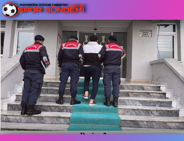 Ordu İl Jandarma Komutanlığı, DAEŞ terör örgütüne karşı gerçekleştirdiği istihbarat