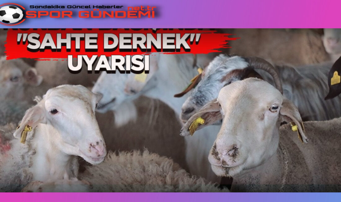 Uzmanlar, güvenilir dernek veya vakıfların isimlerini kullanarak sahte bağış sitelerinin
