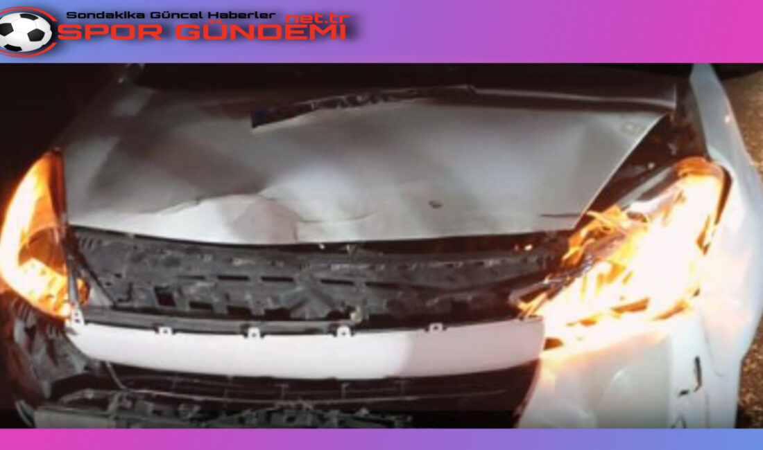 Nevşehir’de meydana gelen trafik kazasında hafif ticari aracın 15 koyuna